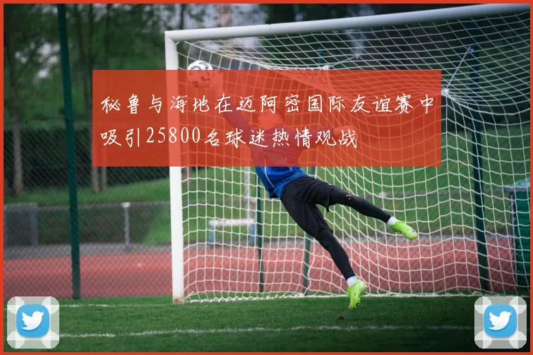 秘鲁与海地在迈阿密国际友谊赛中吸引25800名球迷热情观战